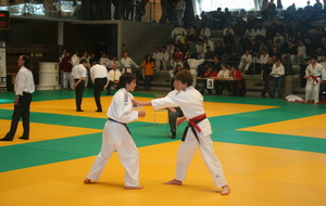 Stage Sportif Judo à Coulounieix