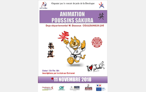Actualité : Animation Poussins Trophée SAKURA - 11 novembre 2018