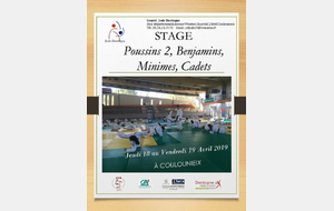 Stage Poussins 2, Benjamins, Minimes et Cadets au dojo départemental